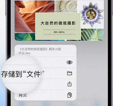 天宁apple维修中心分享iPhone文件应用中存储和找到下载文件