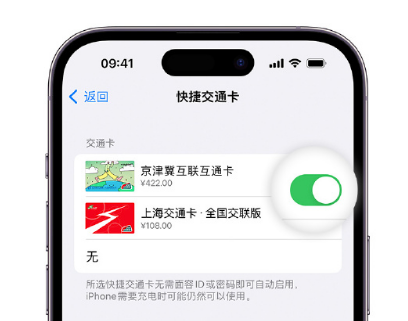 天宁apple维修点分享iPhone上更换Apple Pay快捷交通卡手绘卡面 