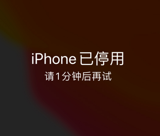 天宁苹果手机维修分享:iPhone 显示“不可用”或“已停用”怎么办？还能保留数据吗？ 