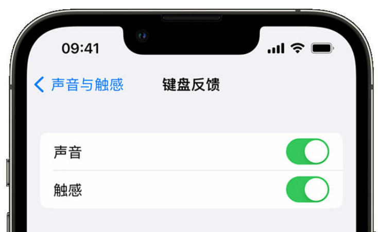 天宁苹果手机维修分享iPhone 14触感键盘使用方法 