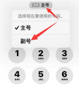 天宁苹果14维修店分享iPhone 14 Pro Max使用副卡打电话的方法 