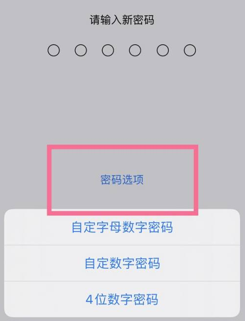 天宁苹果14维修分享iPhone 14plus设置密码的方法 