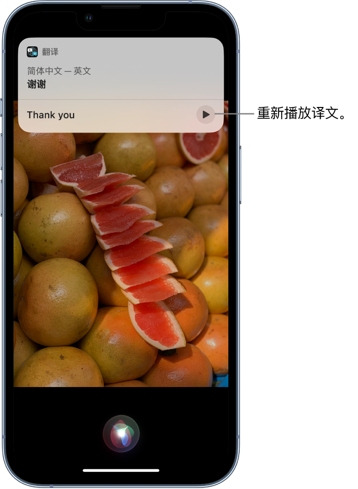 天宁苹果14维修分享 iPhone 14 机型中使用 Siri：了解 Siri 能帮你做什么 