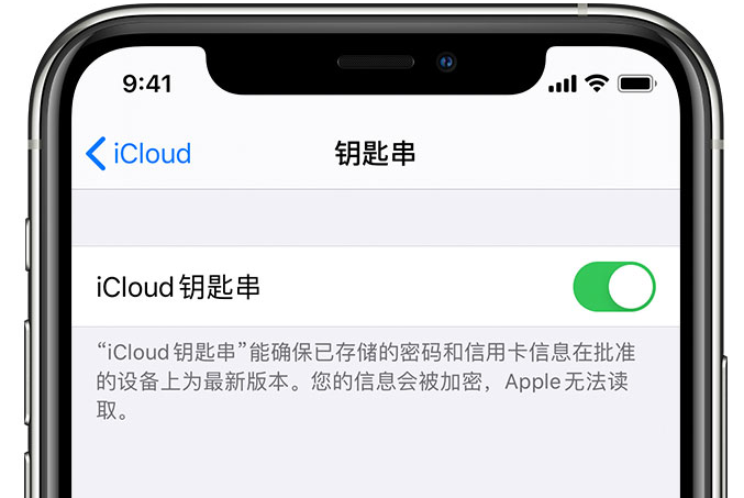 天宁苹果手机维修分享在 iPhone 上开启 iCloud 钥匙串之后会储存哪些信息 