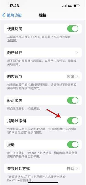 天宁苹果手机维修分享iPhone手机如何设置摇一摇删除文字 